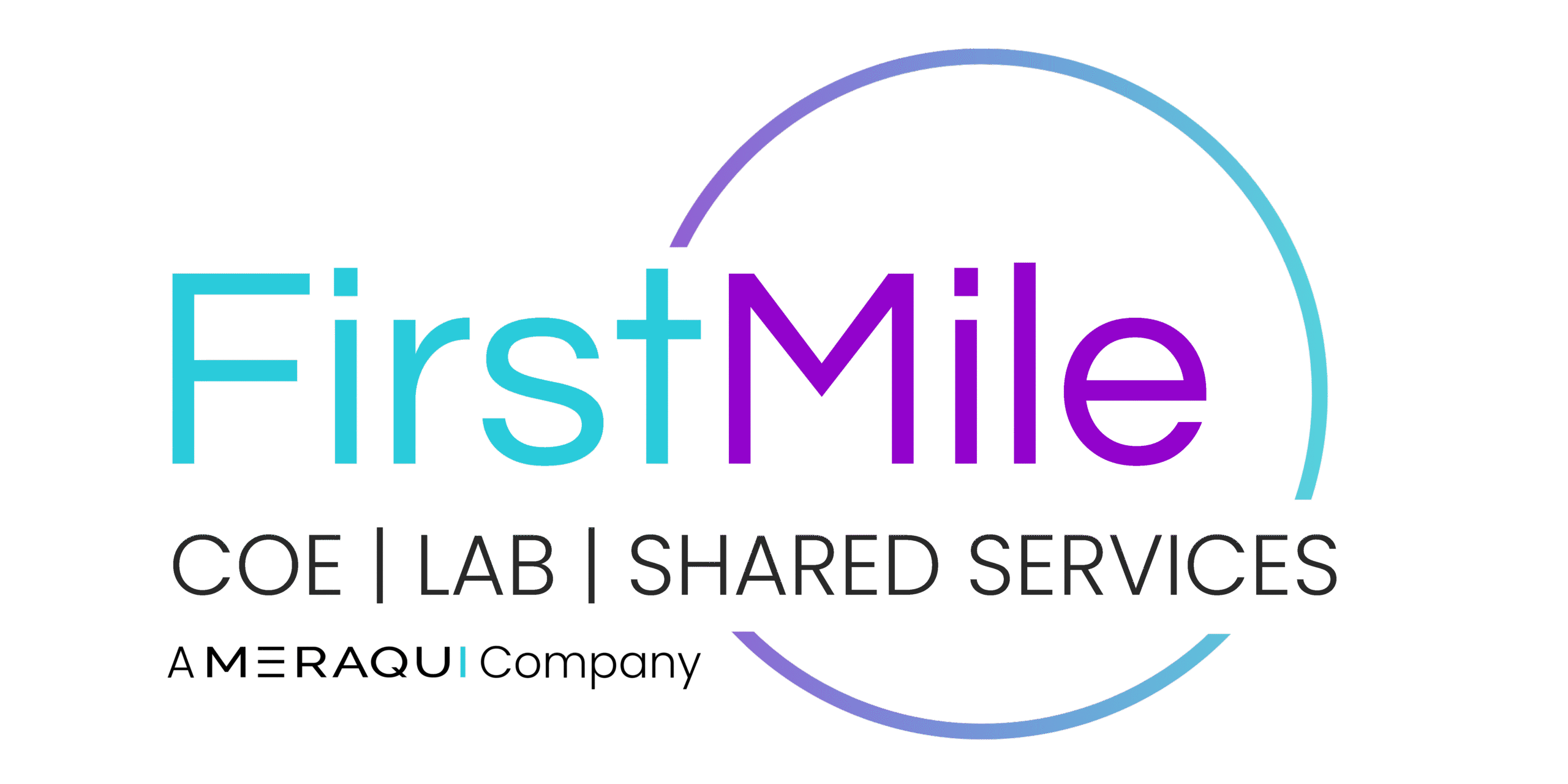 FirstMile Consulting|Home