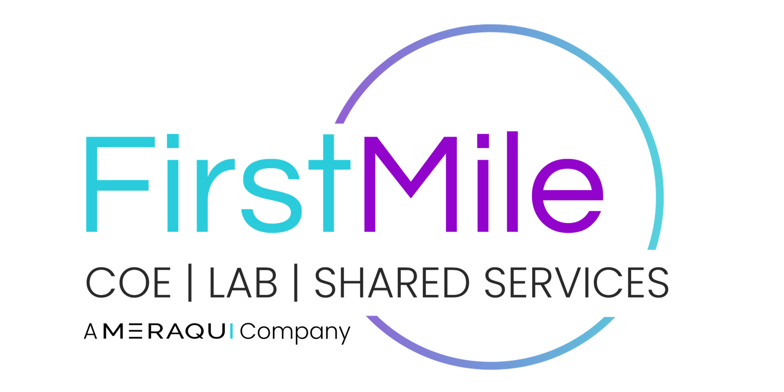 FirstMile Consulting logo